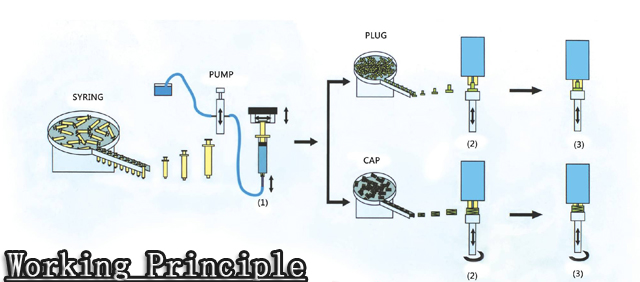 வேலை கொள்கை.jpg